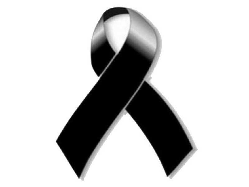 mono negro 800x600